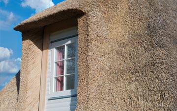 Shingham thatch roof disadvantages